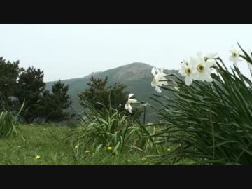 日本百名山に登ってみた番外15　福智山編