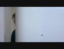 ロンドン・ドッグス　　part5