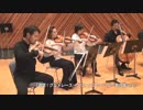 【室内楽】星のカービィBGM 激突！グルメレース・グリーングリーンズ