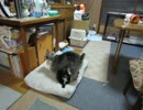 2012年7月5日バトル
