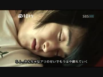 動物農場ー遺棄犬（2/4)