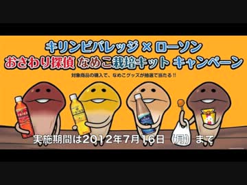 なめこ　はじめてのおつかい