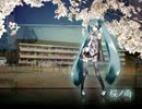 【合唱】　桜ノ雨　【僕らは此処で逢おう】