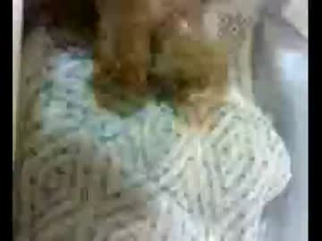 拾いねこ＠生後1日目　生誕おめでとう