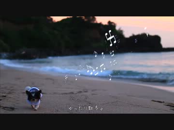 爺ちゃんに世界を見せる旅にでる-その5 早朝海散歩編-