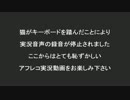 マイナー良ゲー(らしい)【魔人と失われた王国】実況プレイ part 24