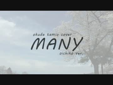 奥田民生カバー /　MANY /  お市子