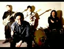 【NEWアルバム】 ZAZEN BOYS - ポテトサラダ 【4年ぶり】