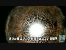 寿命間近の星、ハッブル望遠鏡撮影