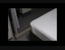 003 にゃあと戯れる