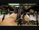 【MHP2G】噂のＧ級を乙乙実況プレイ【十四日目】後編