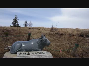 【CBR600RR】ろくだぼ放浪日記 #11 GWソロキャンプツーPart4【長野】