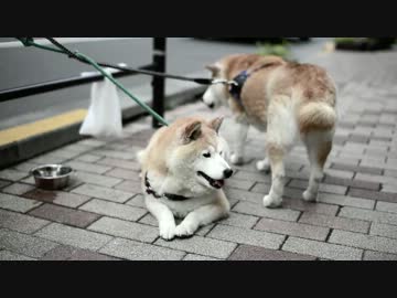 カメラテスト