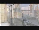 【PS3 CoD MW3】陸の孤島で実況プレイ Part29 ～女王陛下の弾幕ファイター～