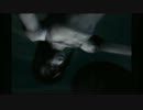 【実況】幽霊村で野良になるPart3【零～紅い蝶～】