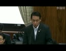 2012年06月19日【参議院】農林水産委員会 中谷智司(民主党)TPPなど