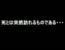【実況】ひねくれ者がポケモン達と戯れる初見プレイ番外編part9