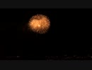 ディズニーシー ディズニーマジック・イン・ザ・スカイ
