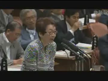 H24/07/10 参院予算委員会・川口順子【与党力も綱領もない政権は解散しろ】