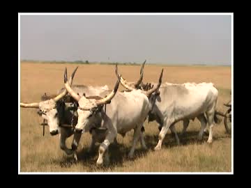 けつせかっしゅ！ --休憩中/ハン＆スロ編①-１