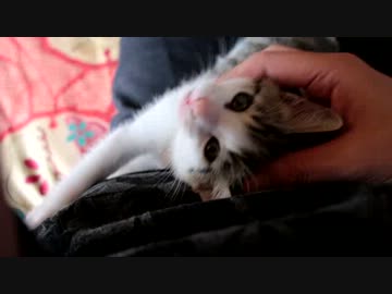 なんだ、ただのいらっしゃいませ、お一人様ですか？か！