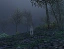 10周年を迎えたFF11を改めて実況プレイ part19