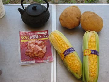 川原でとうもろこし煮てきたよ！