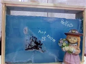 じょうおうあーちゃんのたまごにっき　その9