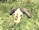 鎌首の『AFRIKA』満喫生活(27)