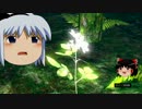 『ダークソウル』-ゆっくり-と主観世界の旅《第６話》