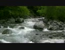 週末は渓に行こう　2012 7 8  南アルプスの渓　2回目