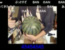 20120711-1 NER=ネル なにはともあれ7月11日は3周年！4年目突入！ 8