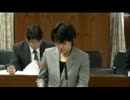 2012年06月20日【参議院】災害対策特別委員会①