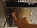 【金バエ】ハロワ行ってくる【仕込み】