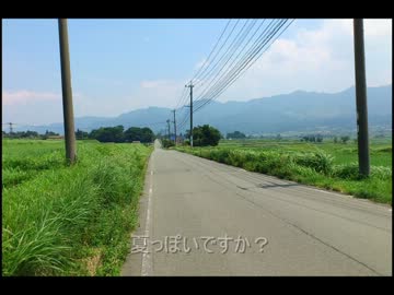 自転車でぷらりと夏を探しに行ってきた