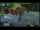 【MHP3】暇人だった者たちの狩人日常生活【実況プレイ】part.2