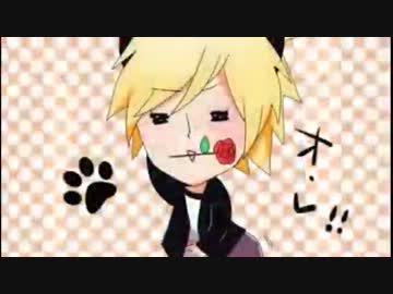 96猫　荒らされて・・・・困ってます・・・