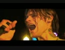 Josh Todd - Flowers and Cages