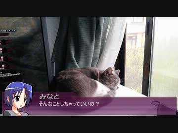 【そくドラ!外縁隊】うｐ主が駄弁る動画【非実況】