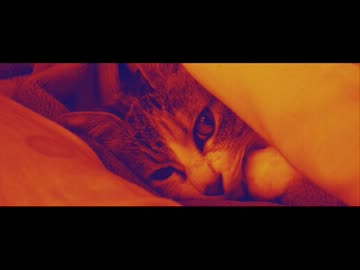 【ニコニコインディーズ/ 歌モノ】いとまごい-gatamaro【オリジナル】