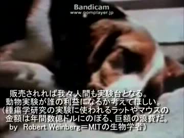 動物実験とは何か その実態は 真相をさぐる ニコニコ動画