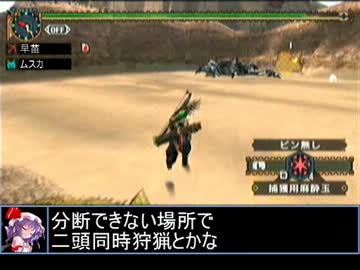 【東方】迷い込んでポッケ村　番外編１９話・狩猟３【ＭＨ】