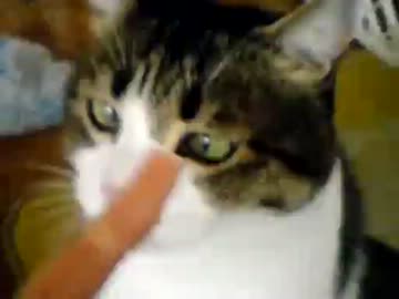 これは・・・!!ササミジャーキー（犬用）