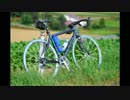 【2009年】自転車ツーリング写真紹介【美瑛】part3