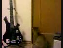 のびる猫.3GP