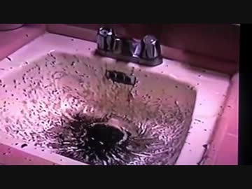 【奇妙】この排水口は地獄へと・・・・・