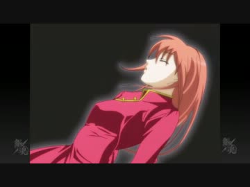 【手描き】百花繚乱 銀魂ガールズ+おまけ 【男性向け】