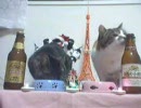 ふたりでお留守番～ミケりんとトラにゃんのクリスマス