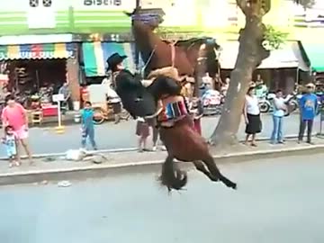 馬のバックドロップｗｗｗｗｗｗ