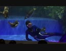 すみだ水族館　ペンギン餌やり